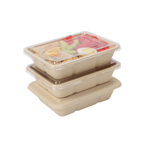 Disposable bamboo pulp material Biodegradable Eco-friendly paper lunch bento box