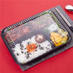 Disposable Plastic Storage Bento Boxes